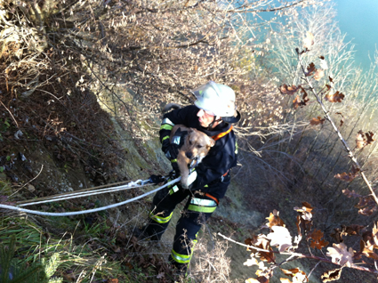 Tierrettung bersicht36